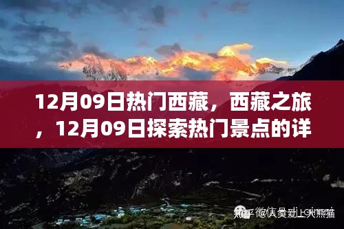 贵险贱璧 第2页