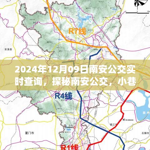 探秘南安公交实时查询系统，深入小巷的公交追踪秘境（2024年12月09日）