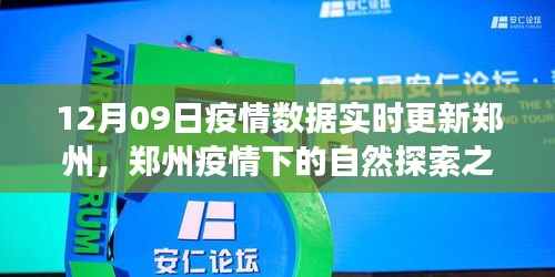 郑州疫情下的自然探索之旅，寻找内心的宁静与力量，实时疫情数据更新