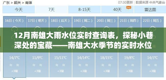 探秘南雄小巷深处宝藏，实时水位查询与美味故事——南雄大雨水位实时查询表揭秘