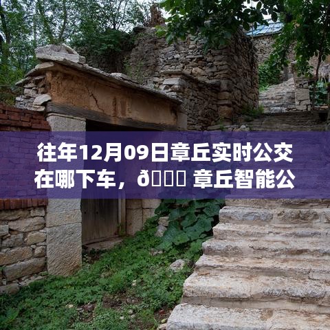 臼灶生蛙 第2页