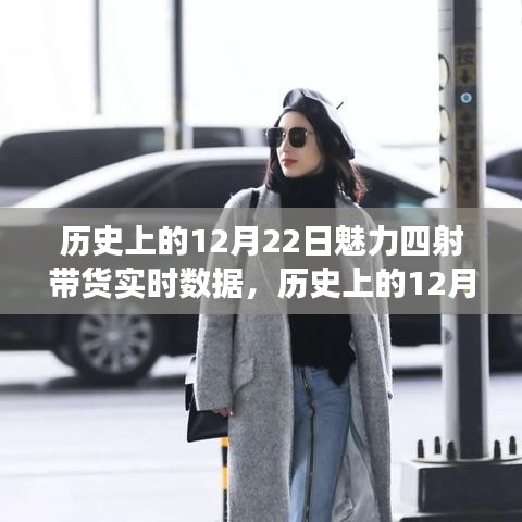 越鸟南栖 第2页