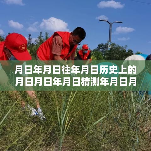 指李推张 第2页