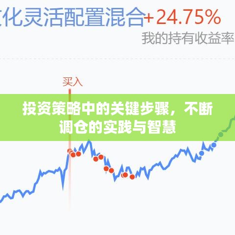 投资策略中的关键步骤，不断调仓的实践与智慧