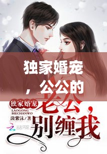 独家婚宠，公公的角色与影响力分析
