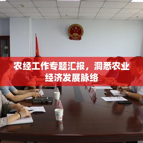 百鸟齐鸣 第2页
