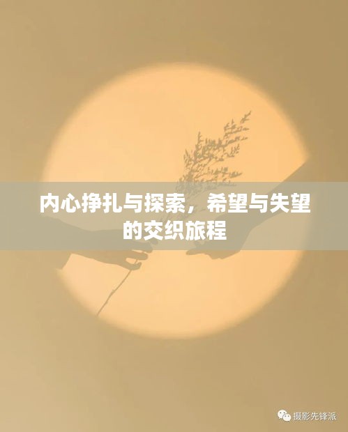 在线留言 第124页