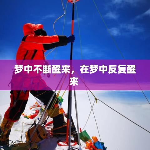 一花独放 第2页