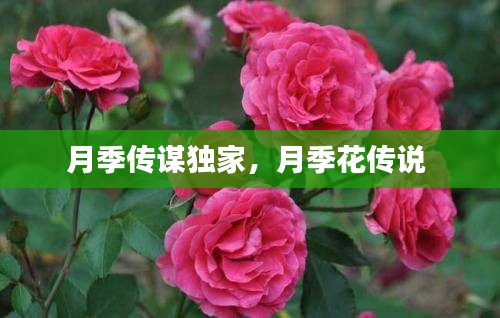 刬旧谋新 第2页