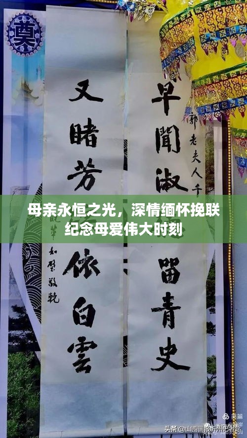 联系我们 第109页