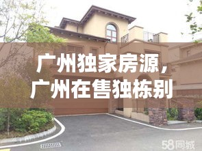 关于我们 第117页