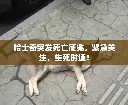 新闻中心 第111页