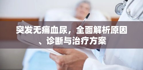 雪中送炭 第2页