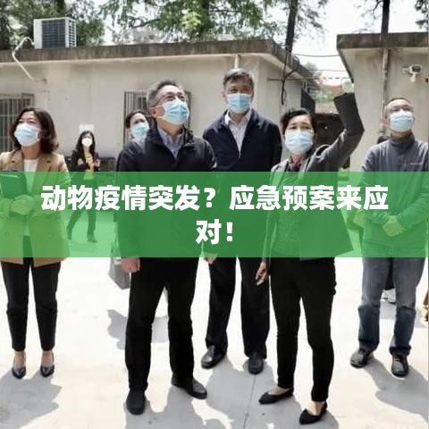 漫天飞舞 第2页