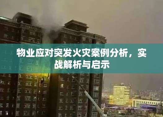 展翅高飞 第2页