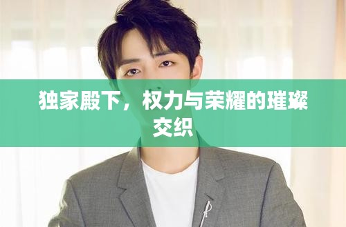 独家殿下，权力与荣耀的璀璨交织