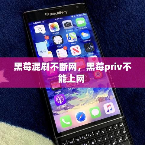 百鸟归巢 第2页