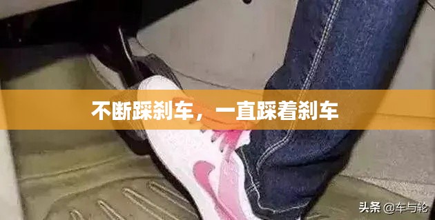 林下风范 第2页