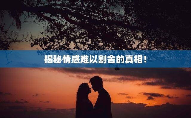 去故就新 第2页
