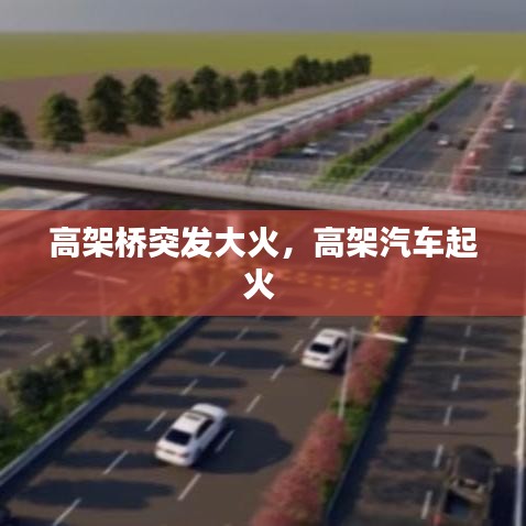 眼张失道 第2页