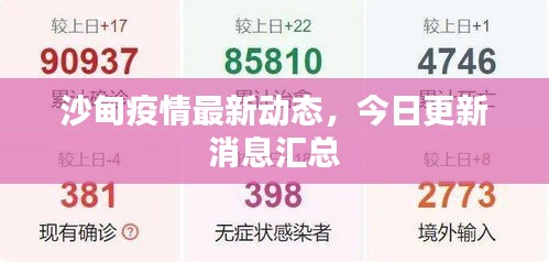 沙甸疫情最新动态，今日更新消息汇总