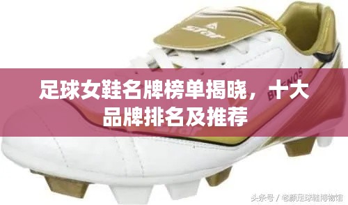 择善而从 第2页