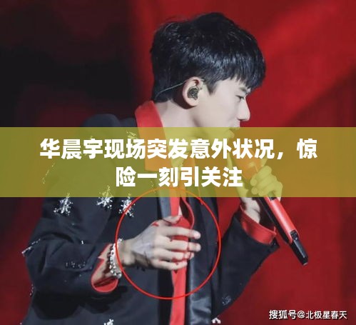 新闻中心 第79页