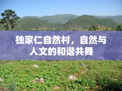 精品展示 第79页