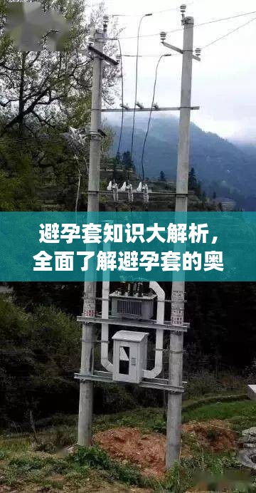 从容就义 第2页