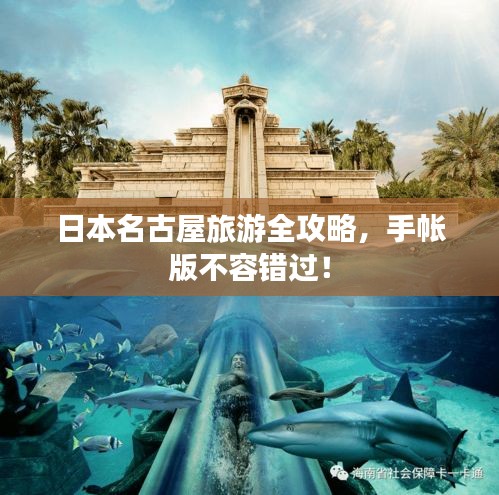 竭尽全力 第2页