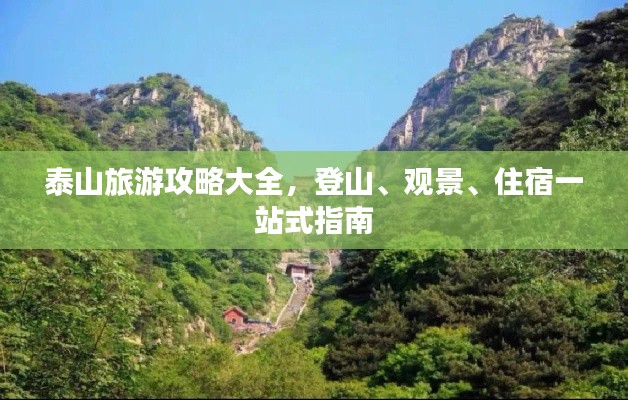 衣不重采 第2页