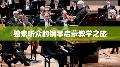 独家听众的钢琴启蒙教学之旅