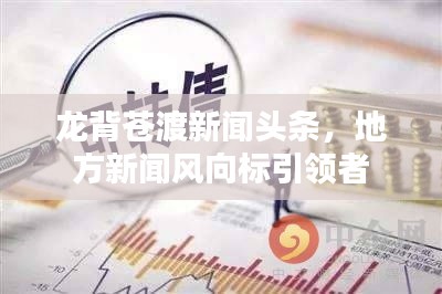 龙背苍渡新闻头条，地方新闻风向标引领者