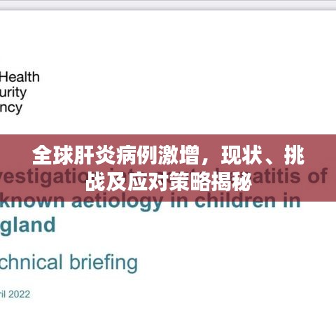 全球肝炎病例激增，现状、挑战及应对策略揭秘