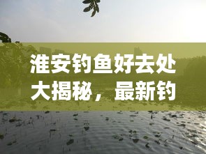 淮安钓鱼好去处大揭秘，最新钓鱼地点攻略指南！