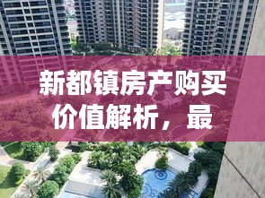 新都镇房产购买价值解析，最新消息一览