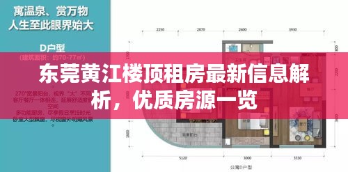东莞黄江楼顶租房最新信息解析，优质房源一览