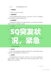 SQ突发状况，紧急应对与处理