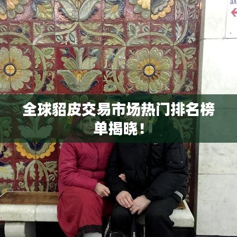 全球貂皮交易市场热门排名榜单揭晓！