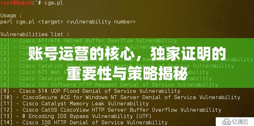 账号运营的核心，独家证明的重要性与策略揭秘