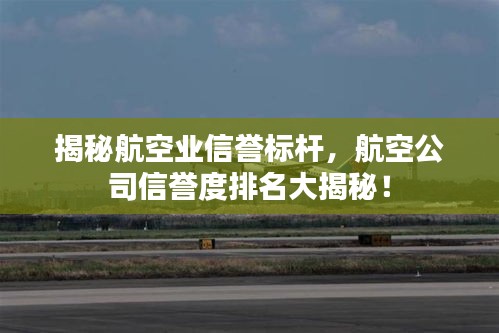 揭秘航空业信誉标杆，航空公司信誉度排名大揭秘！