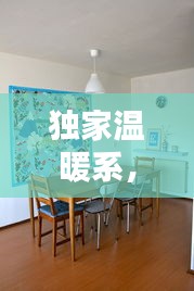 独家温暖系，探寻生活中的温馨独特时光