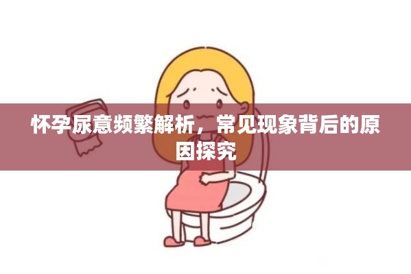 联系我们 第44页