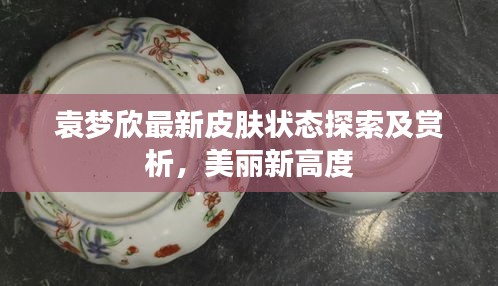袁梦欣最新皮肤状态探索及赏析，美丽新高度