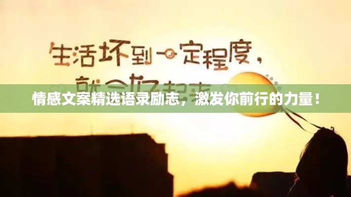 情感文案精选语录励志，激发你前行的力量！