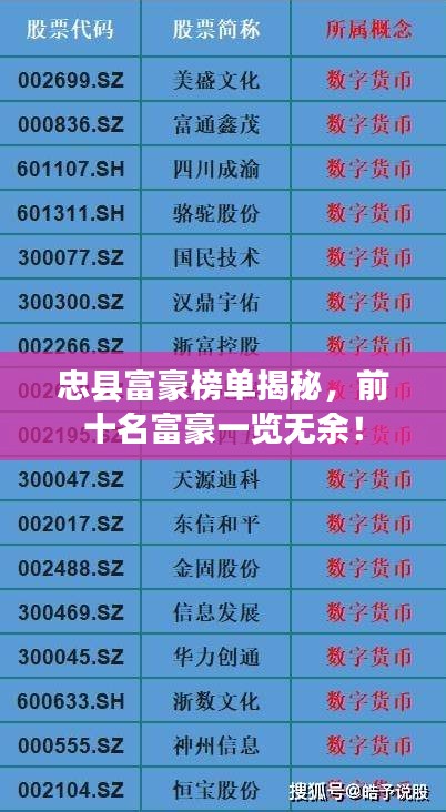 忠县富豪榜单揭秘，前十名富豪一览无余！