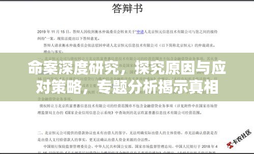 命案深度研究，探究原因与应对策略，专题分析揭示真相