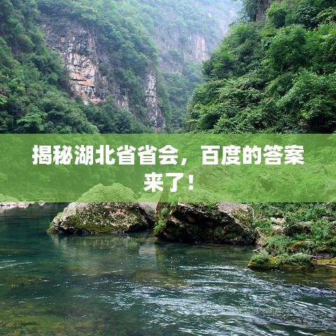 鸟惊鱼骇