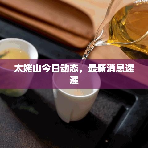 太姥山今日动态，最新消息速递