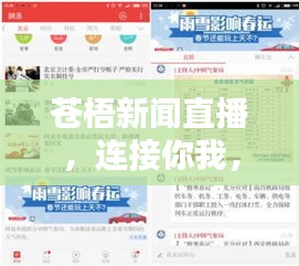 苍梧新闻直播，连接你我，实时传递最新资讯头条